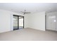 14 Pumello Court, Bellmere QLD 4510