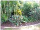 126 Hargrave Street, Morayfield QLD 4506