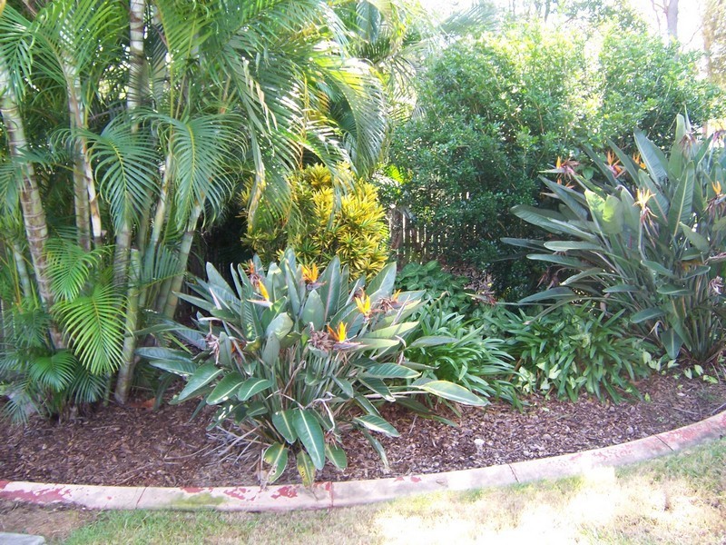 126 Hargrave Street, Morayfield QLD 4506