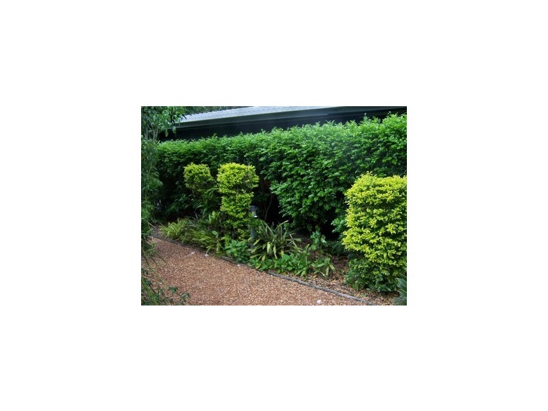 99a The Esplanade, Ningi QLD 4511