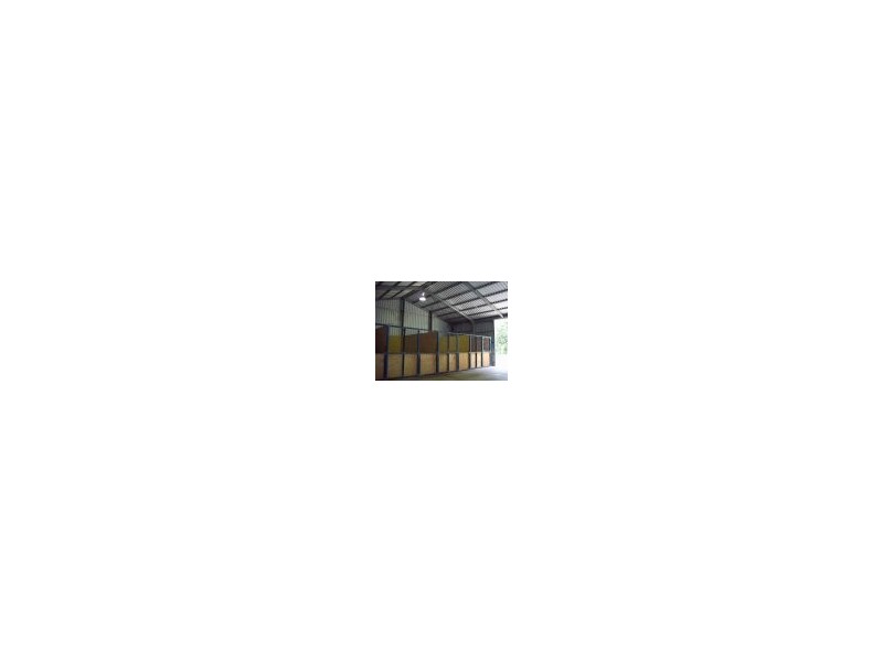 31 Conifer Road, Morayfield QLD 4506