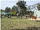 69 Kirrang Drive, Elimbah QLD 4516