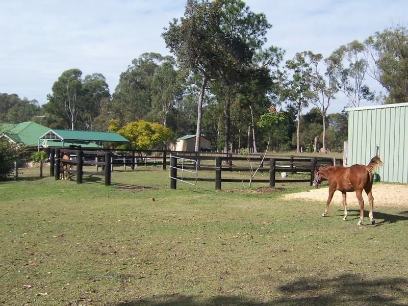 69 Kirrang Drive, Elimbah QLD 4516