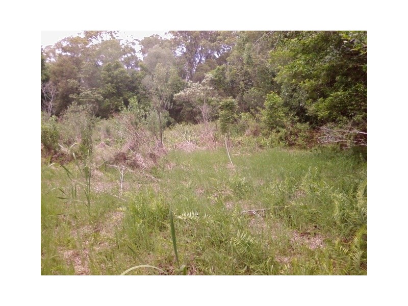 Bellmere QLD 4510
