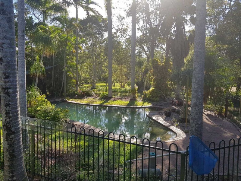 65 Clark Road, Morayfield QLD 4506