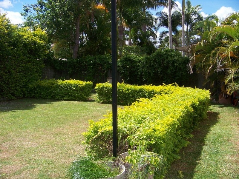 43 Belvedere Crescent, Caboolture QLD 4510