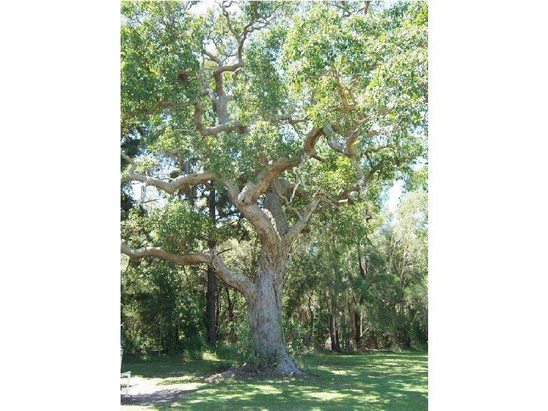 Morayfield QLD 4506