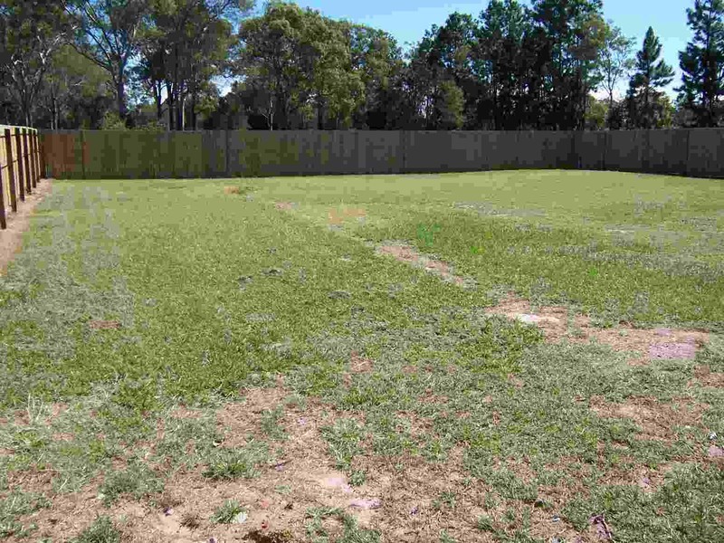 Beachmere QLD 4510