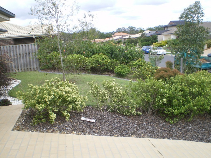 11 Hollywood Avenue, Bellmere QLD 4510