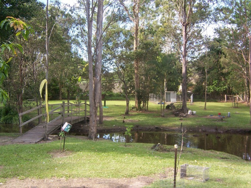 29 Jillian Court, Burpengary QLD 4505