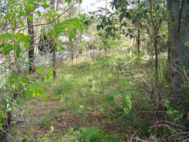 D’aguilar QLD 4514