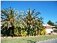 Caboolture QLD 4510
