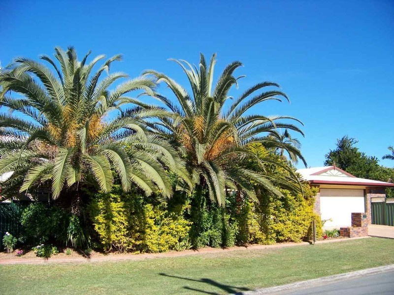 Caboolture QLD 4510