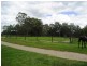 64 Coutts Drive, Burpengary QLD 4505