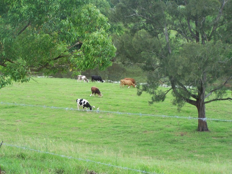 12-24 Allan Road, Bellmere QLD 4510