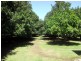 Bellmere QLD 4510