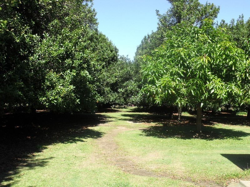 Bellmere QLD 4510