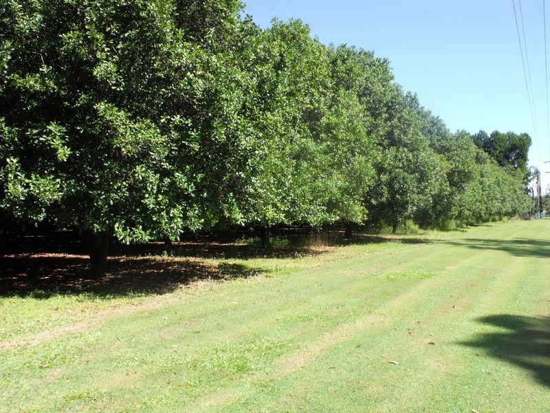 Bellmere QLD 4510