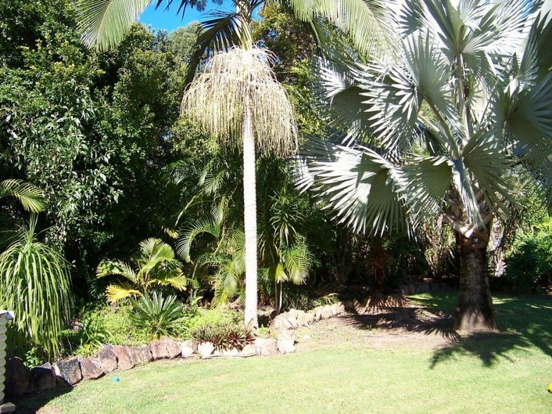 71 Firetail Court, Morayfield QLD 4506