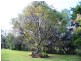 Burpengary QLD 4505