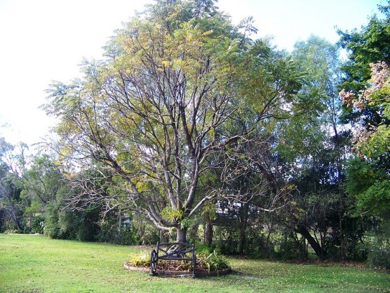 Burpengary QLD 4505