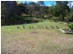 Burpengary QLD 4505
