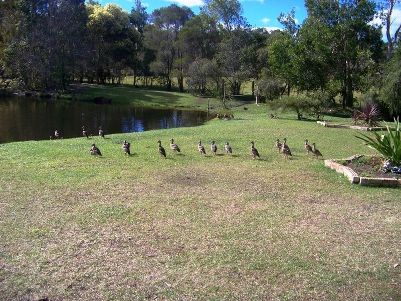 Burpengary QLD 4505
