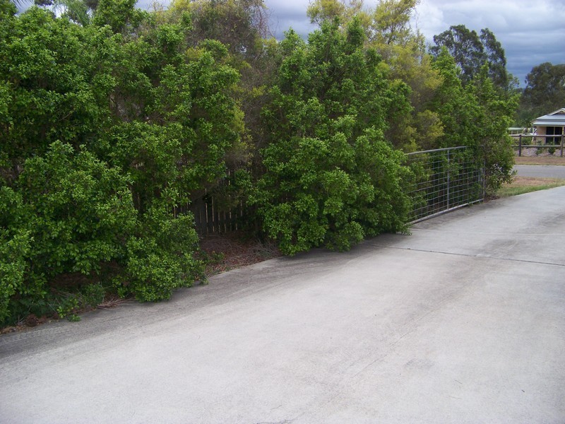 Morayfield QLD 4506