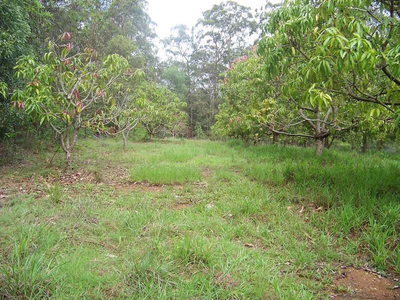 Wamuran QLD 4512