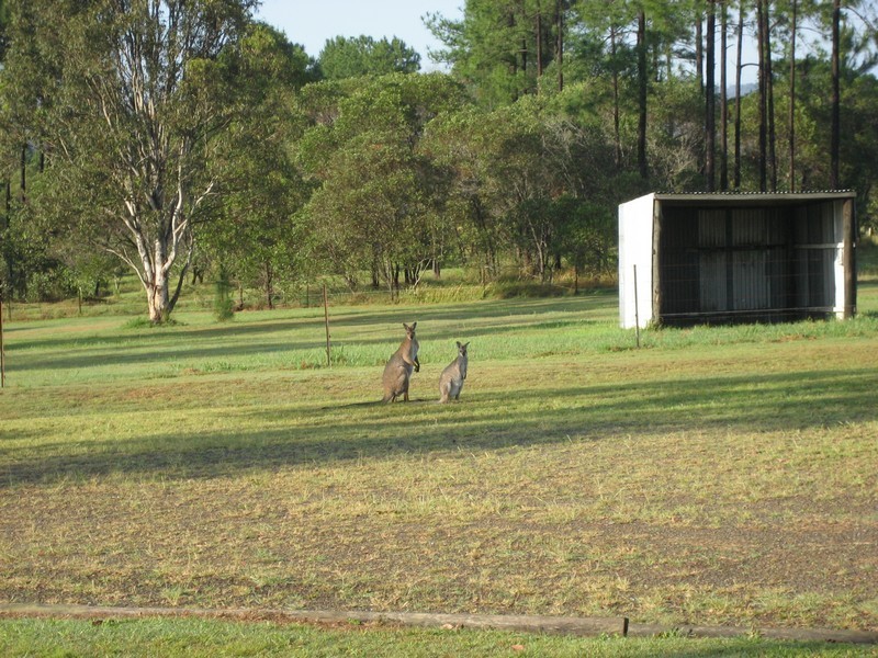 Upper Caboolture QLD 4510