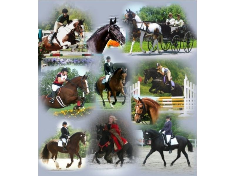 Upper Caboolture QLD 4510