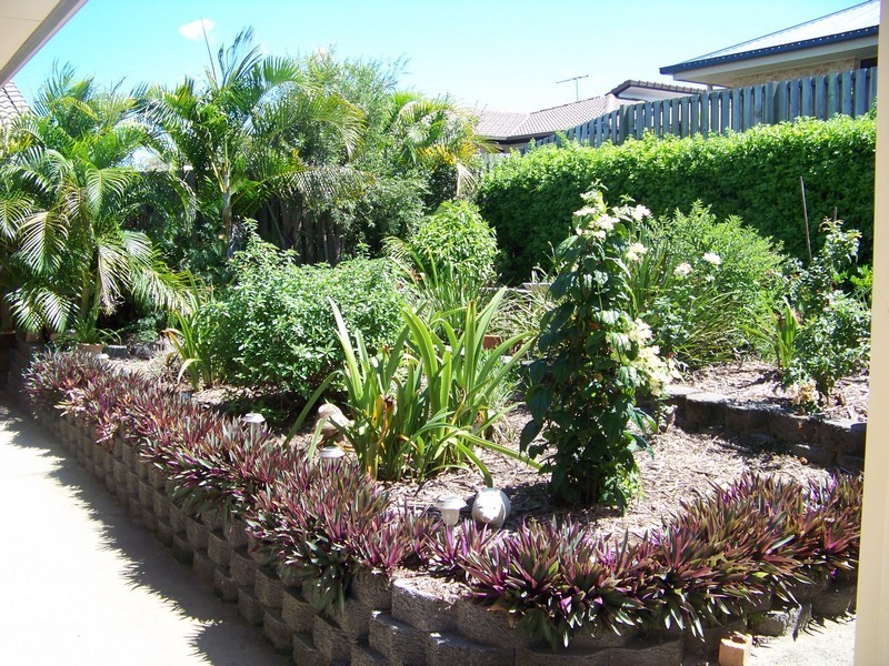 11 Woodsy Court, Morayfield QLD 4506