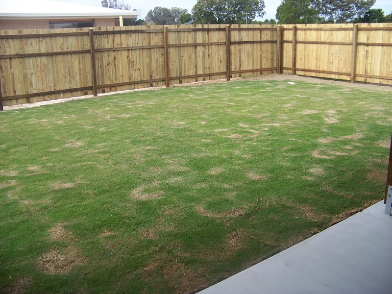 8 Vieritz Road, Bellmere QLD 4510