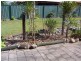 71  Station Road, Burpengary QLD 4505