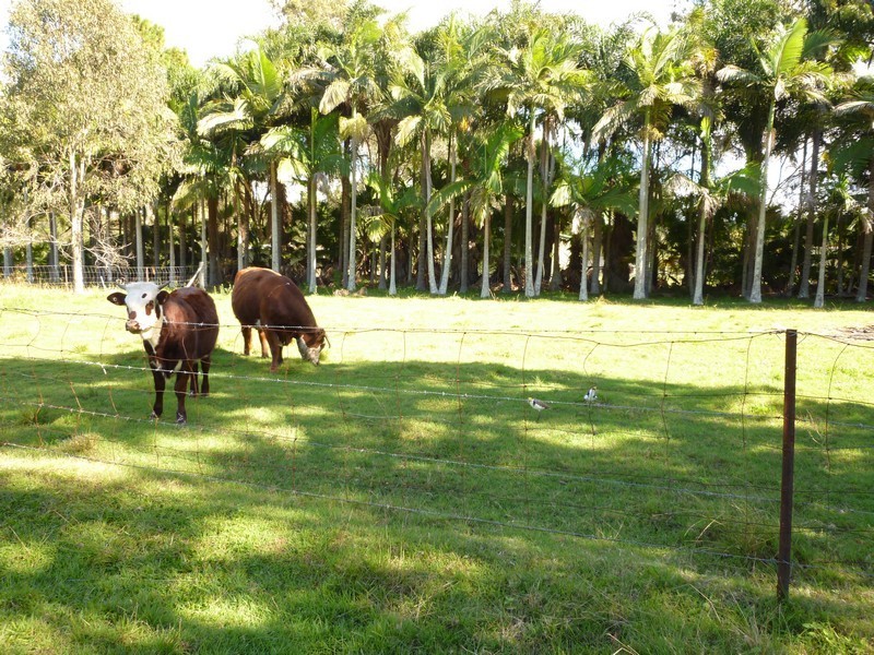 52 Margaret Street, Burpengary QLD 4505