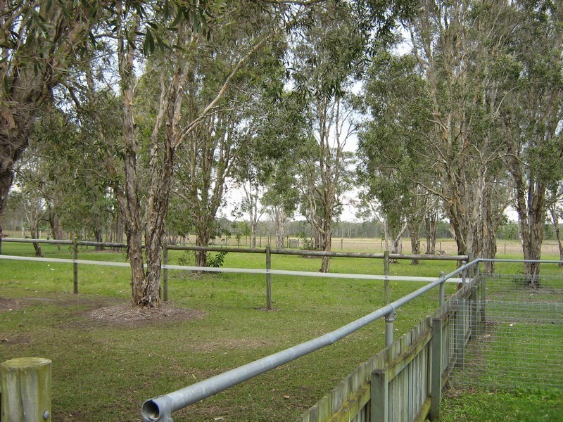 Ningi QLD 4511