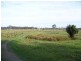 Stanmore QLD 4514