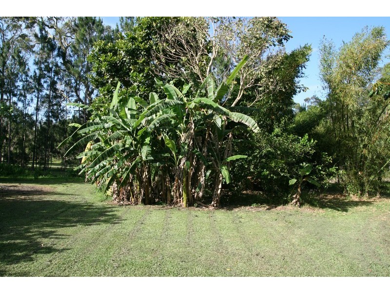 Elimbah QLD 4516