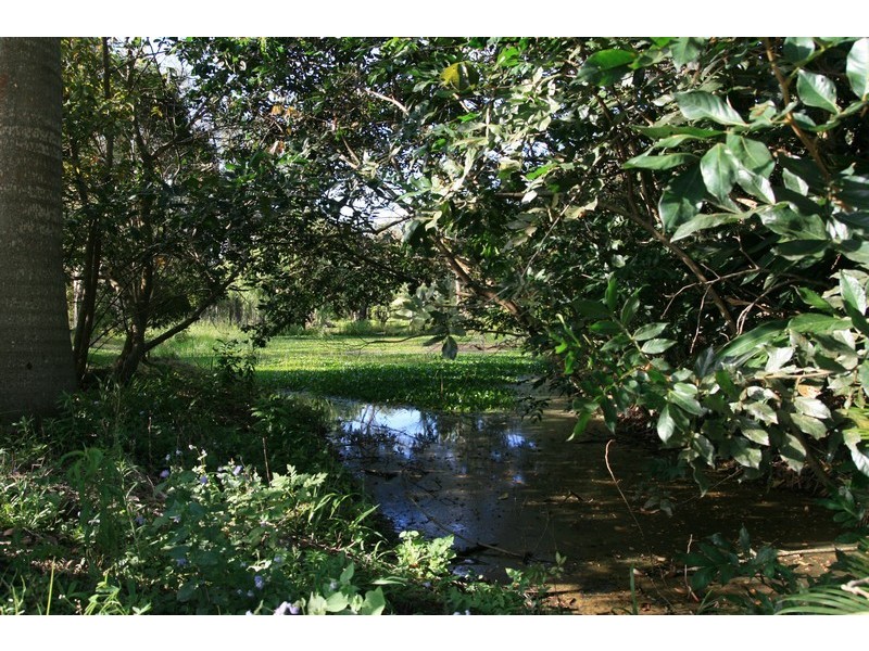 Elimbah QLD 4516