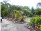 Elimbah QLD 4516