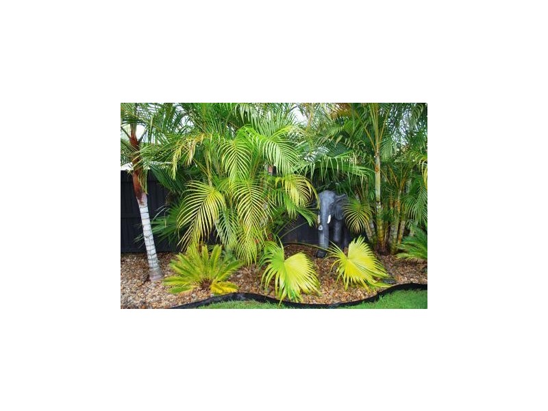 12 Olympic Court, Upper Caboolture QLD 4510