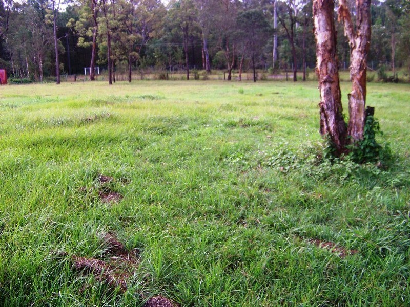 64 Breadsell Drive, Caboolture QLD 4510