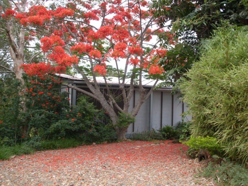 36A Alexander Crescent, Morayfield QLD 4506