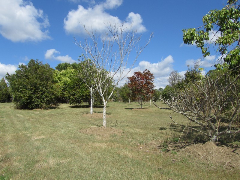 1 Chiverton Street, Upper Caboolture QLD 4510