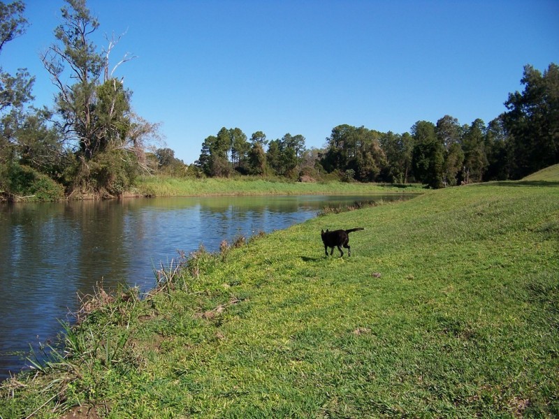 8 Clydebank Court, Bellmere QLD 4510