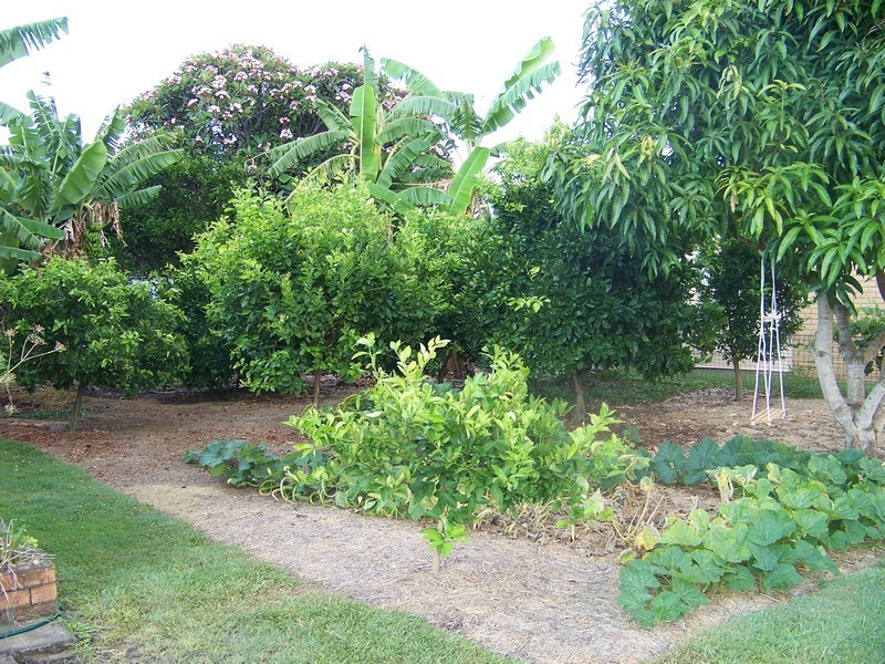 19 Churchill Street, Caboolture QLD 4510