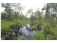 147 Jensen Road, Caboolture QLD 4510