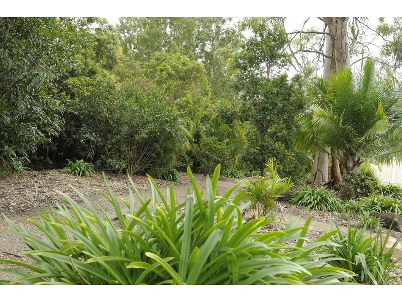 147 Jensen Road, Caboolture QLD 4510