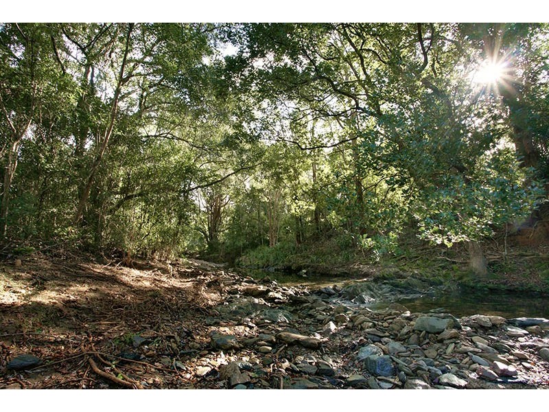 178 Basin Road, Wamuran QLD 4512