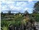497 Morayfield Road, Burpengary QLD 4505